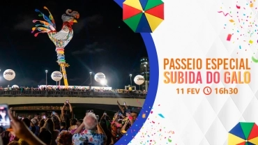 Tour Recife e Suas Pontes ESPECIAL | Subida do Galo